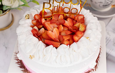 �A����W(xu��)�����c(di��n)��Ʒ