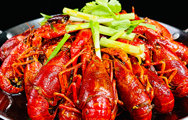 �A����W(xu��)���в���Ʒ