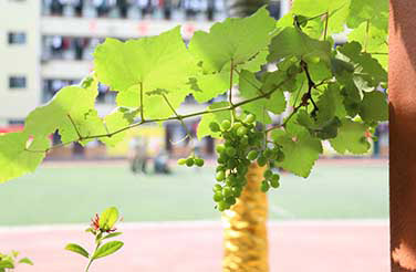 �W(xu��)У�h(hu��n)��