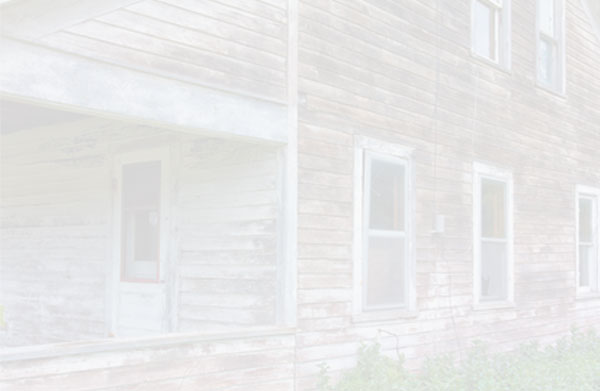 �V���N���W(xu��)У�Ă���