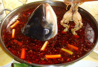華南烹飪學校魚頭火鍋