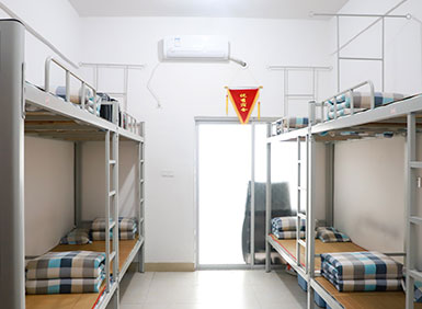 �V�����c���