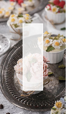 �W(xu��)���c(di��n)���T�T����