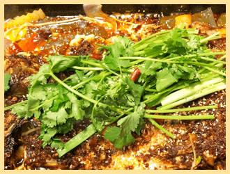 �V���A����W(xu��)У�W(xu��)�����~(y��)��Ʒ