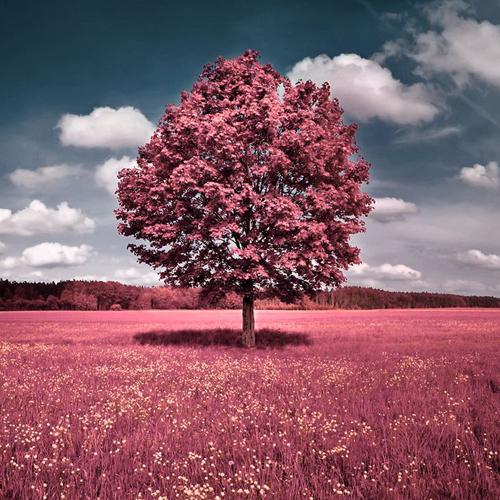 ̩��(gu��)�ΌW(xu��)